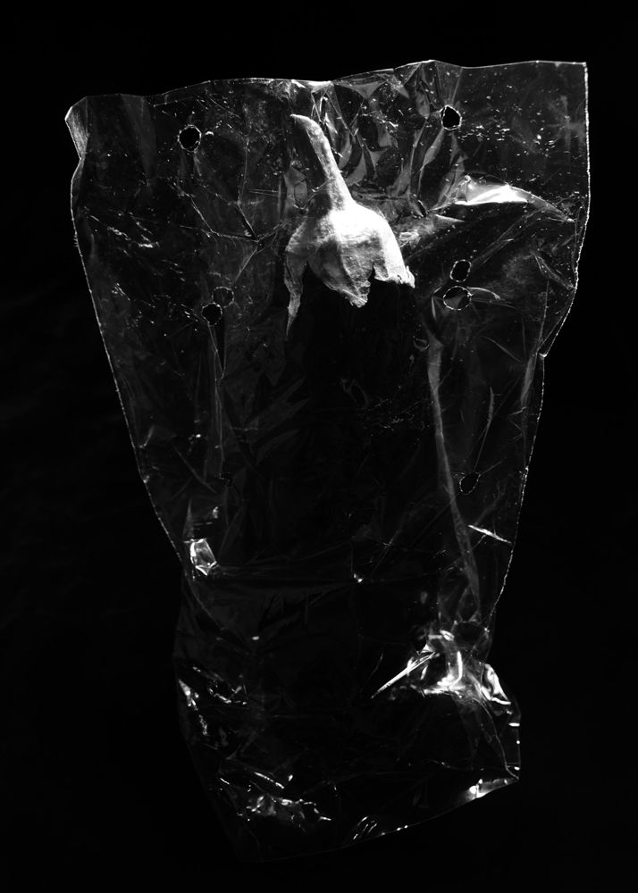 Photograph by Наталья Жук