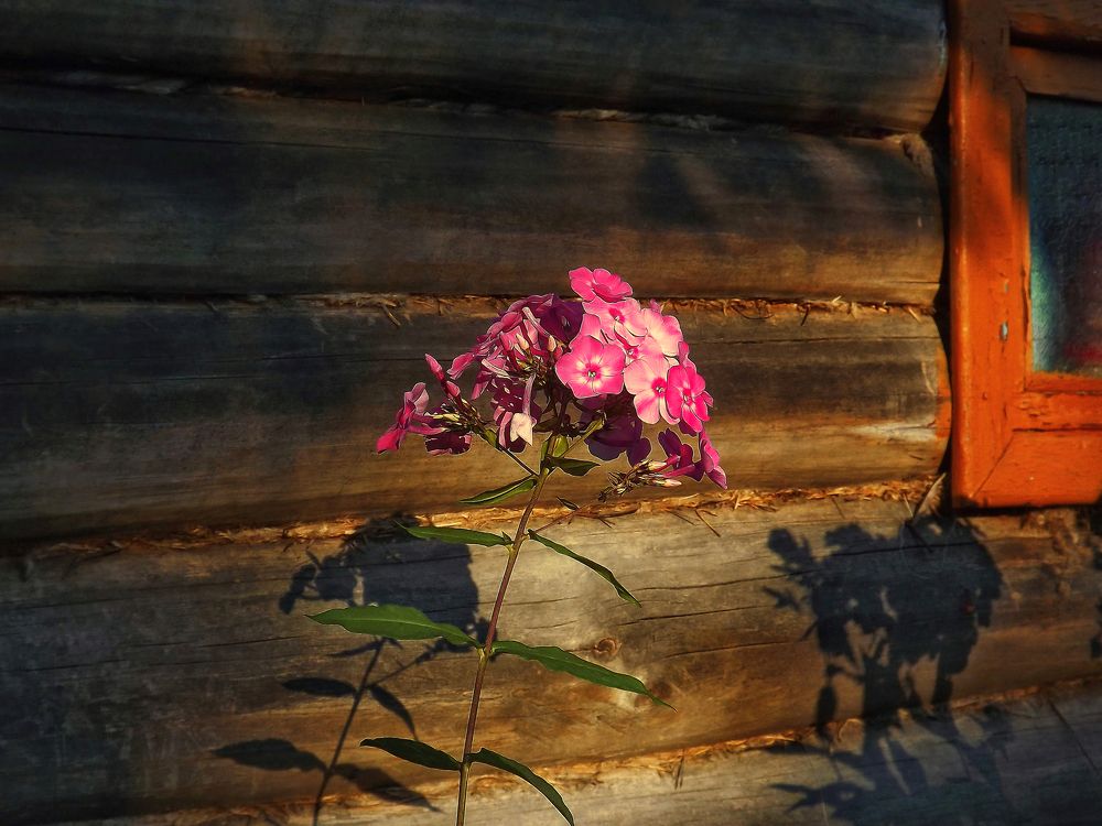 Photograph by Александр Катюрин