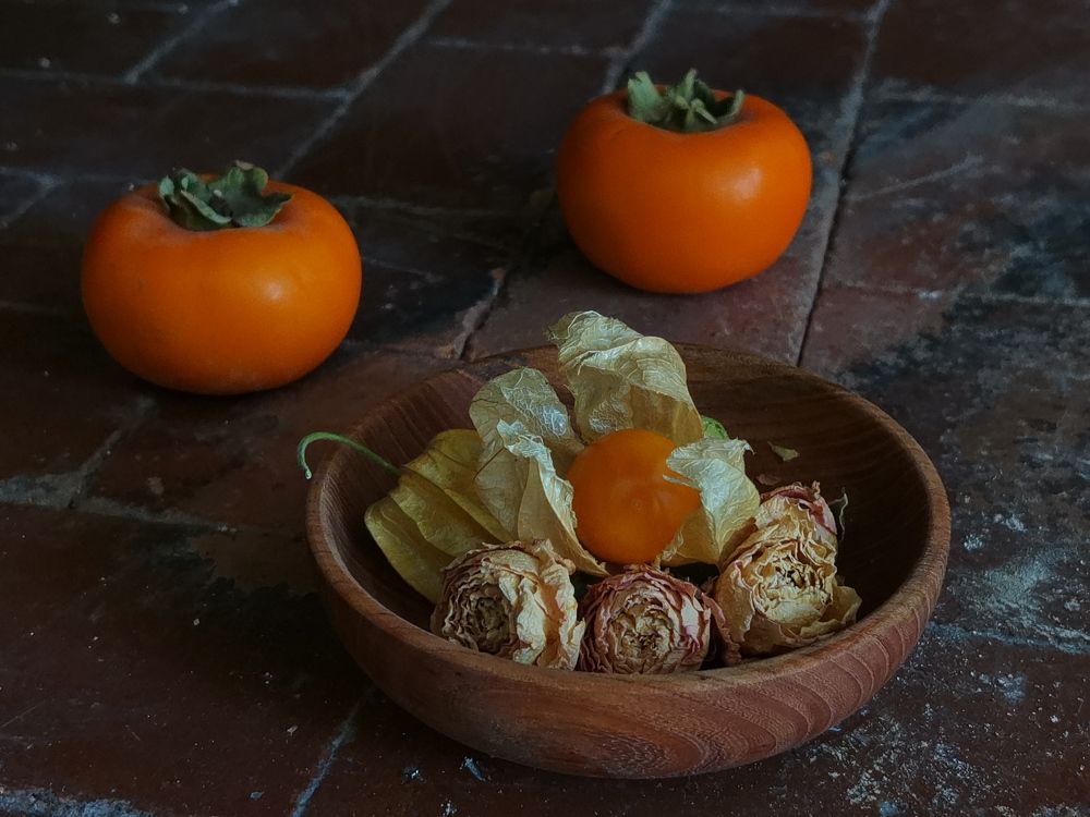 Physalis