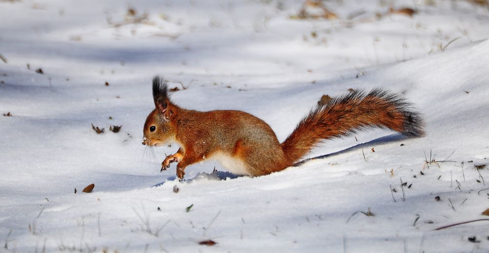 Фотография автора Антип