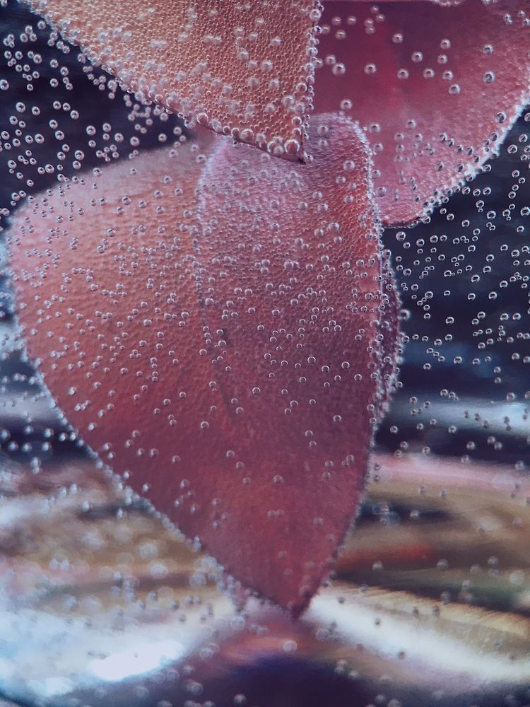 Photograph by Ксения Глубокова