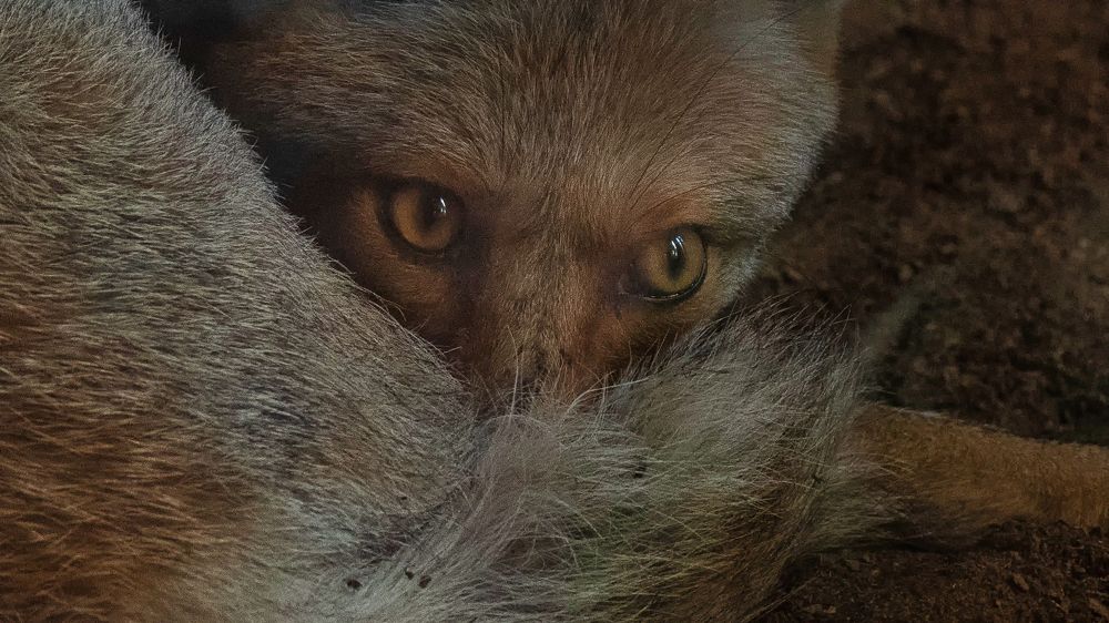 Photograph by Manjri Saxena