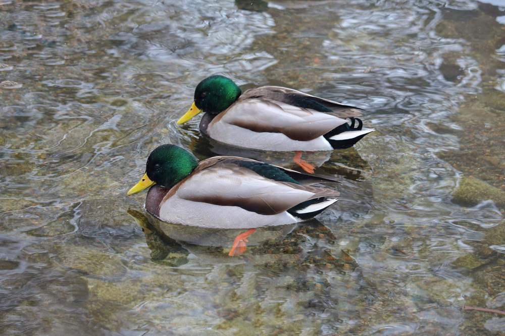 Photograph by Александра Яценко