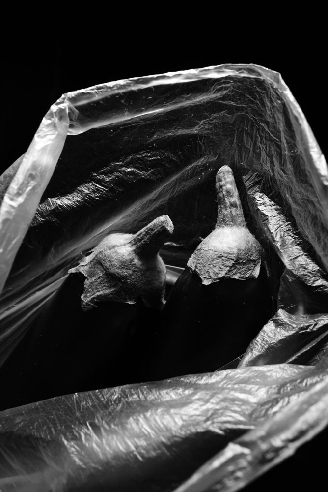 Photograph by Наталья Жук