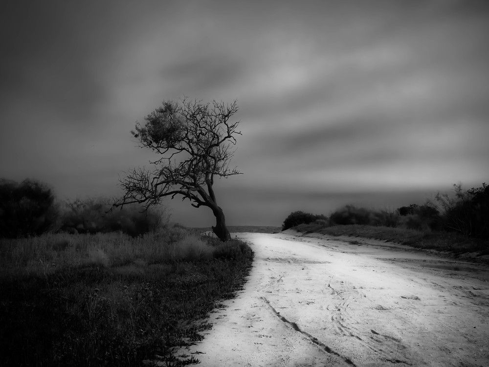 Одиночество