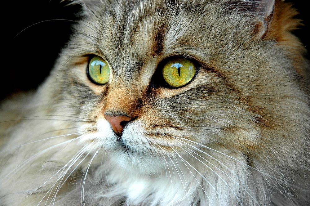 Photograph by Нелли Сидоренко