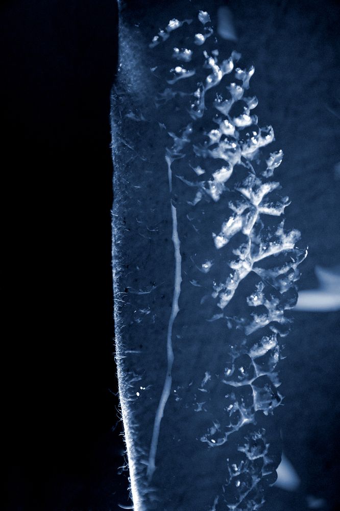 Photograph by Michal Rawski