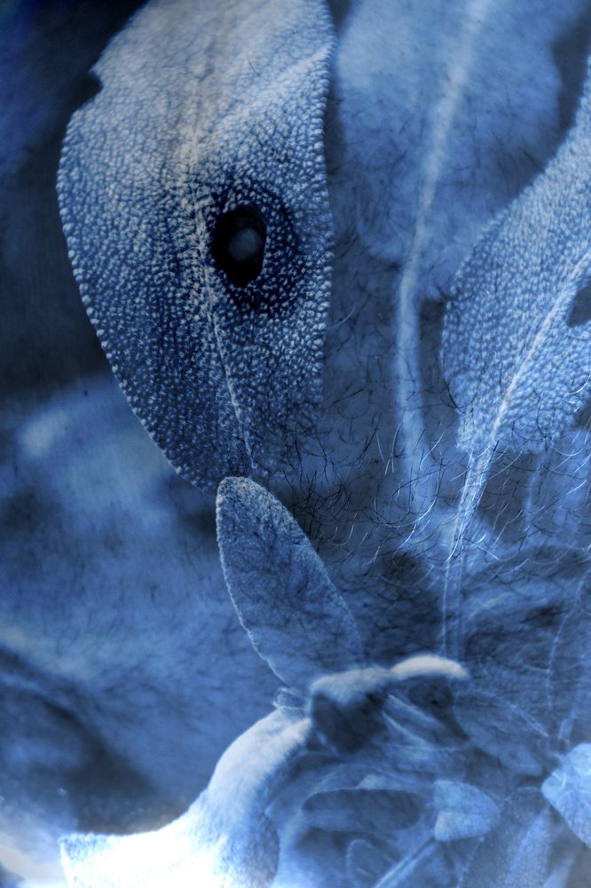 Photograph by Michal Rawski