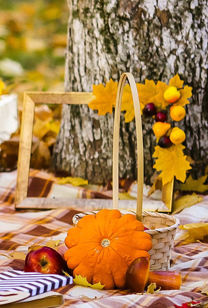 Осенний урожай