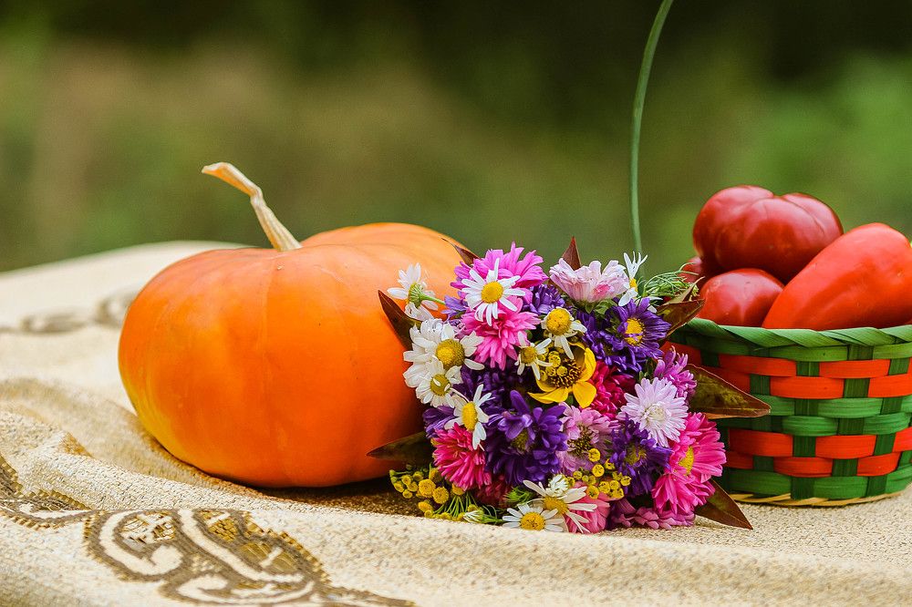 Поздняя осень. Урожай!