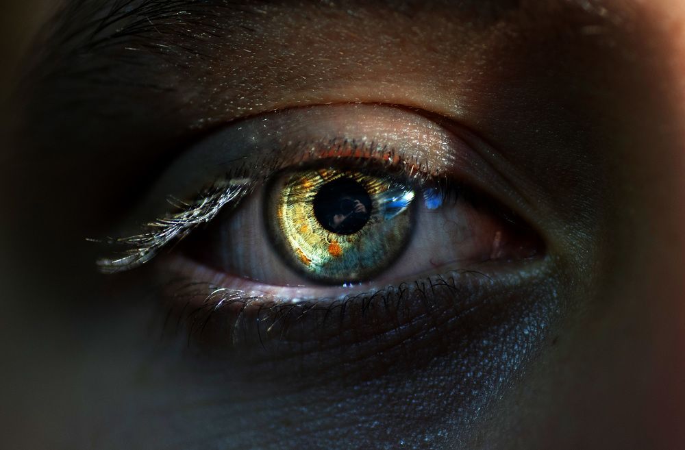 Photograph by Eduardo Modolo