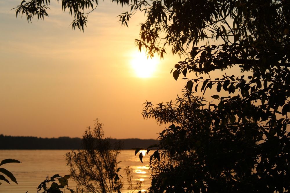 Photograph by Алина Лебедева