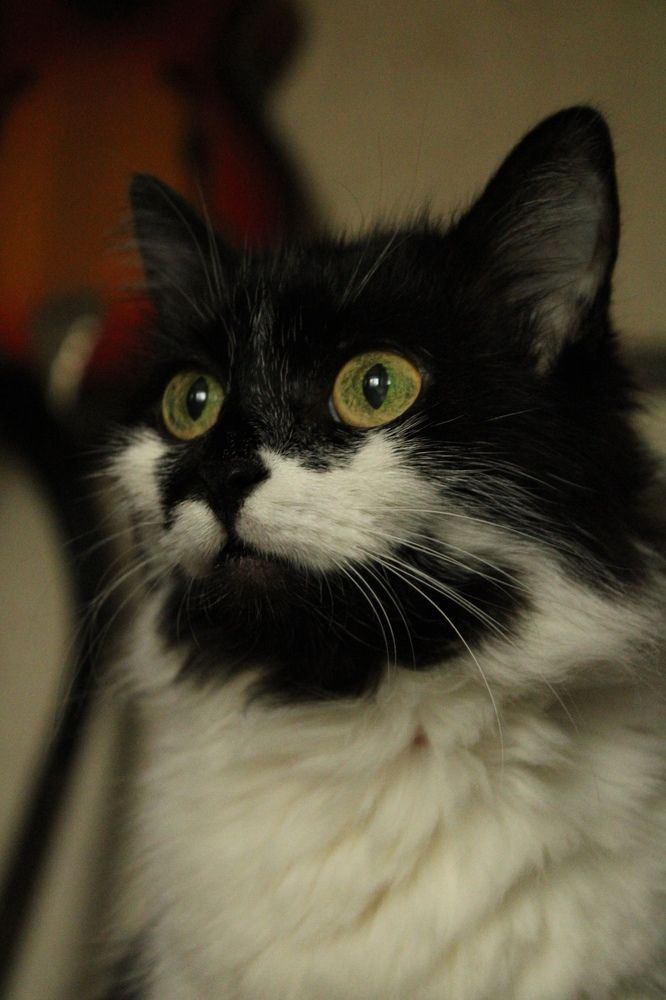 Photograph by Алина Лебедева