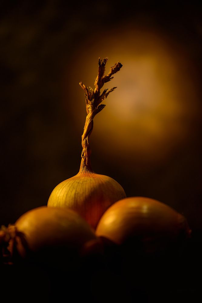Фотография автора Евгений Чуканов