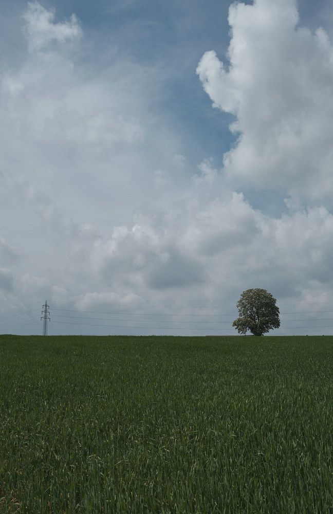 Глубина немецких просторов