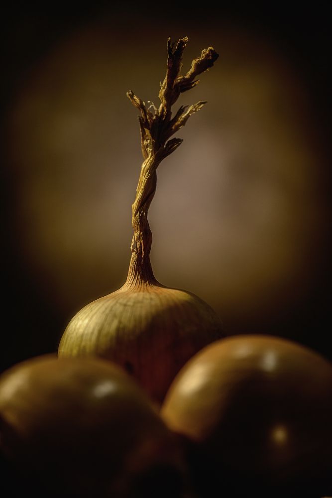 Фотография автора Евгений Чуканов