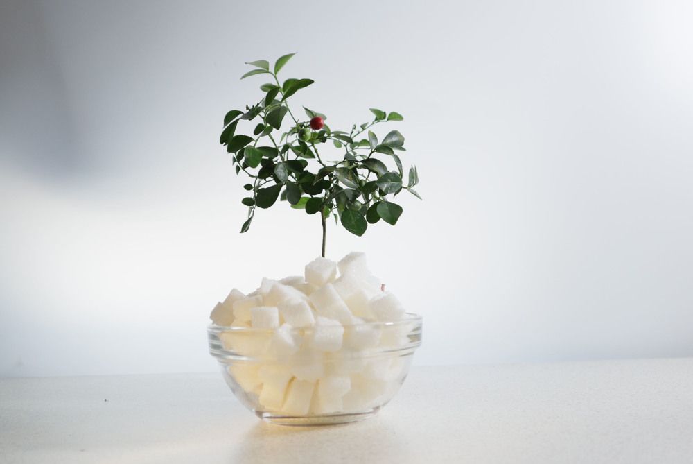 Photograph by Татьяна Маринич