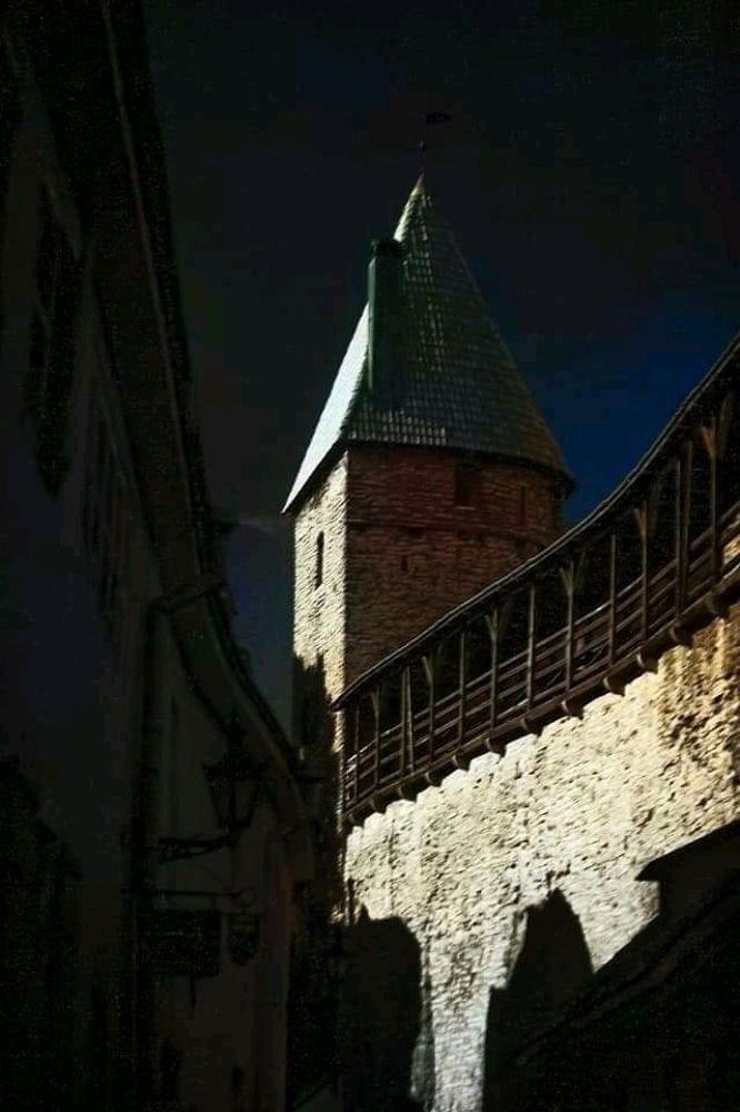 Photograph by Алексей Стрижаков