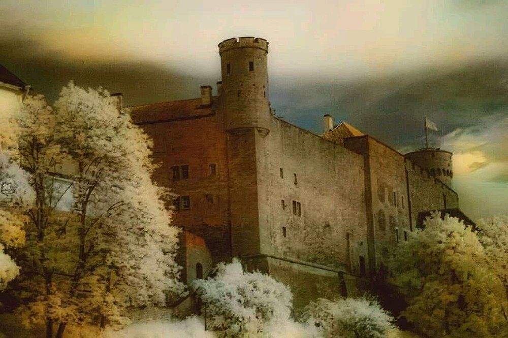 Photograph by Алексей Стрижаков