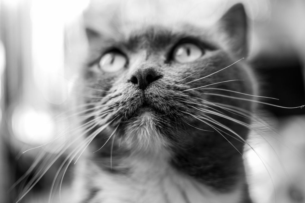 Photograph by Екатерина Хакимова