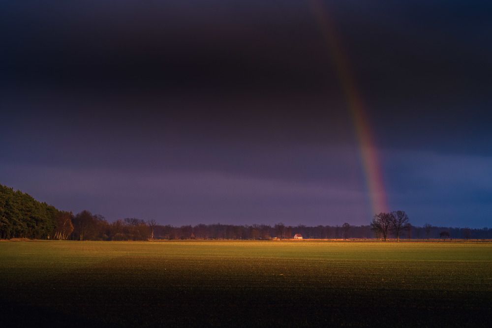 Фотография автора NIghtdream