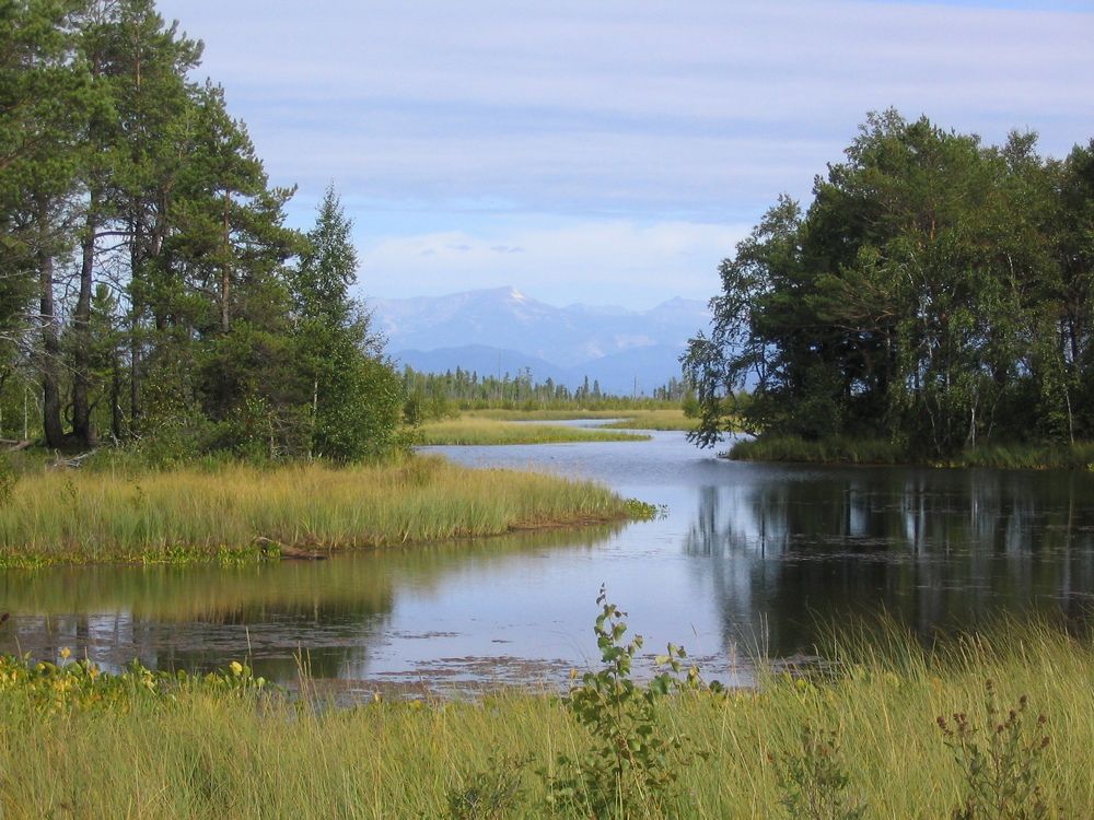 Тихая заводь