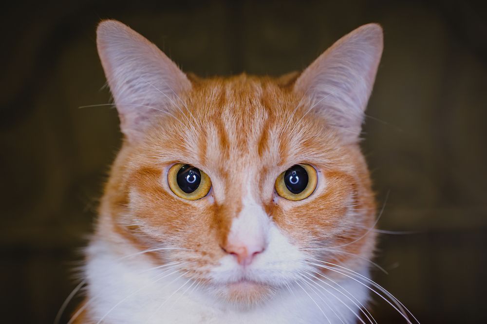 Photograph by Динар Фатыхов