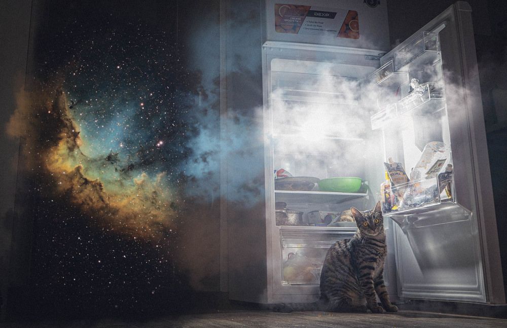 Photograph by Алексей Тюлин