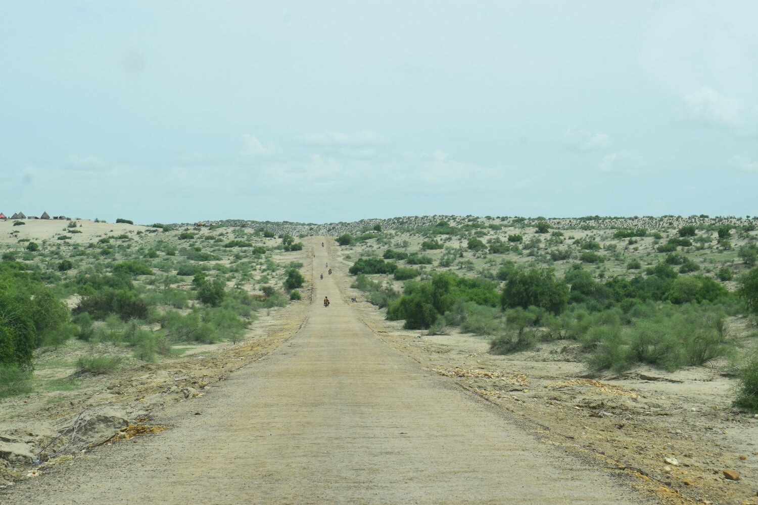 Photo #5982856