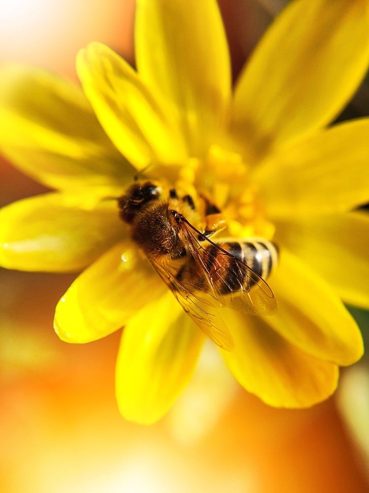 Photograph by Мария Щербакова