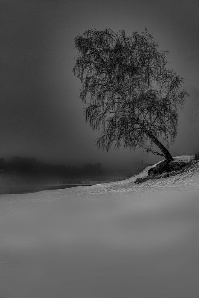 Photograph by Ваиль А.