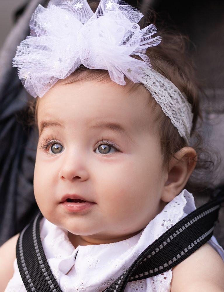 Фотография автора Александр Нестеренко