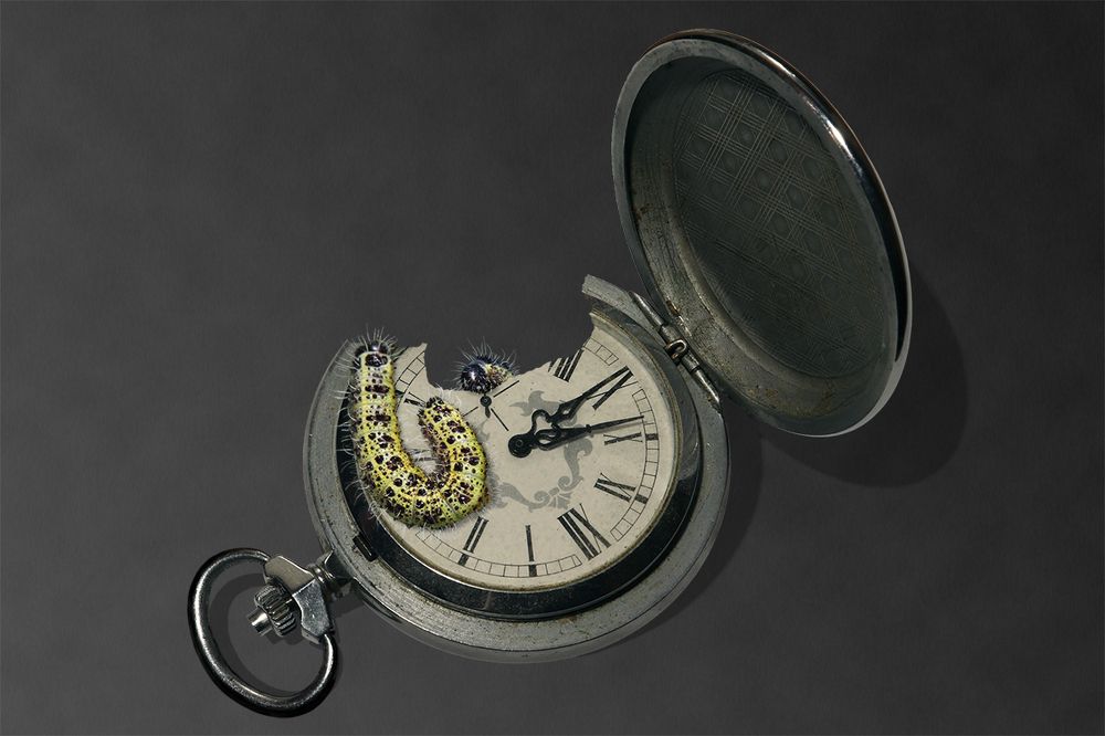 Photograph by Владимир