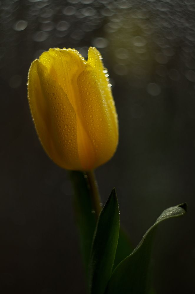 Photograph by Зоя