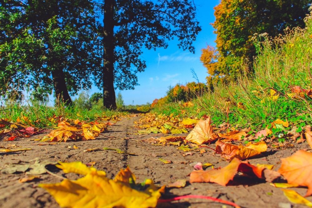 Photograph by Широкова Евгения