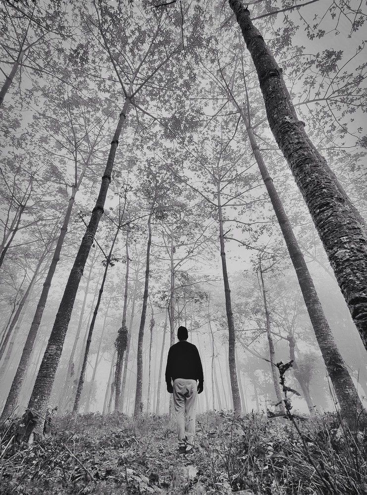 Photograph by Nishant Raj