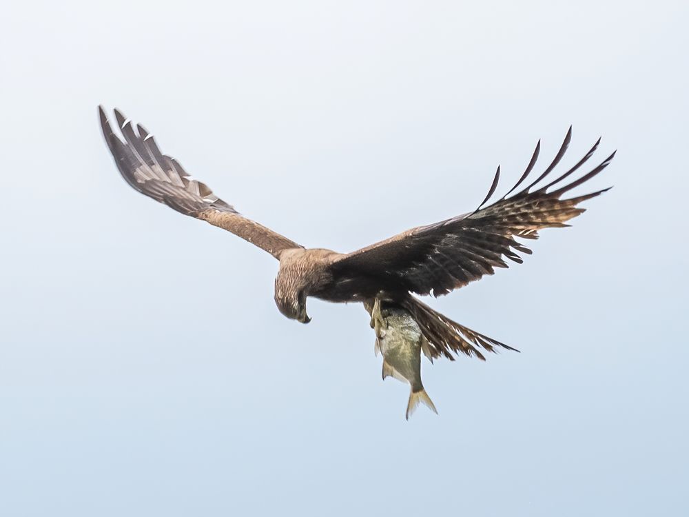 Photograph by Анастасия Попельская