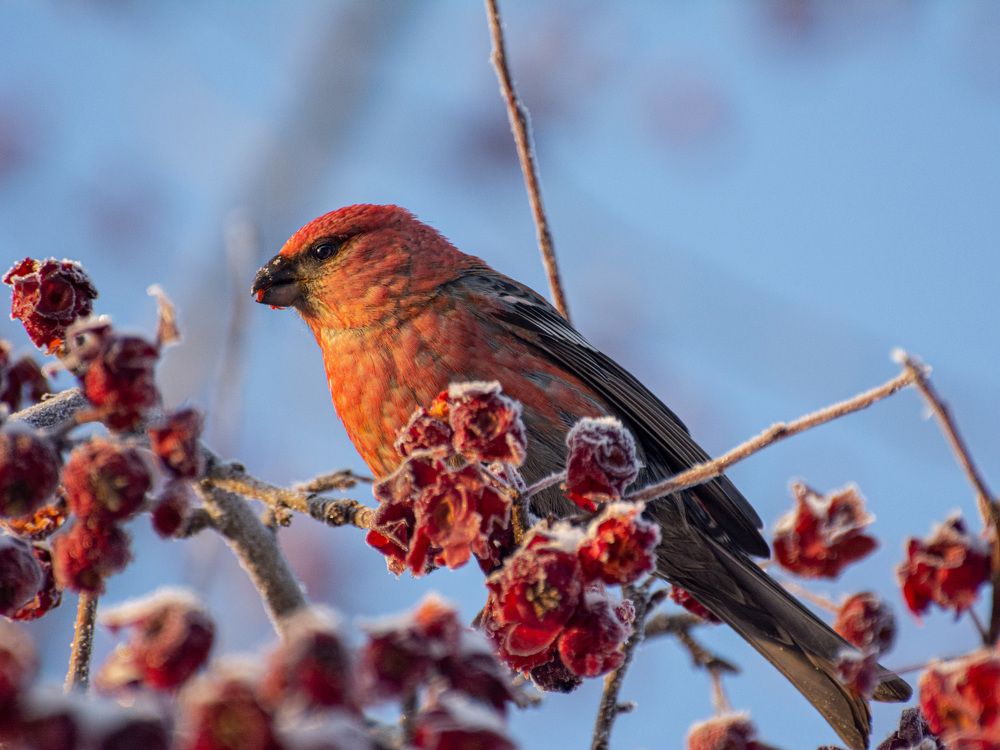 Photograph by Анастасия Попельская
