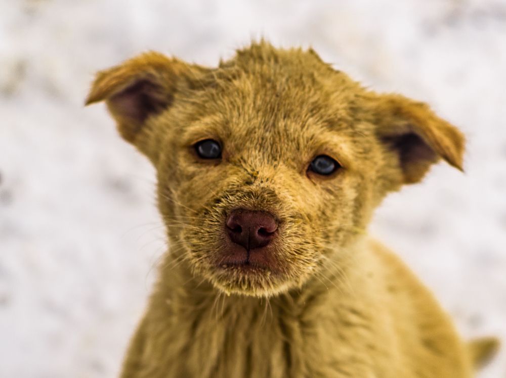 Пожрать есть чего-нибудь?...