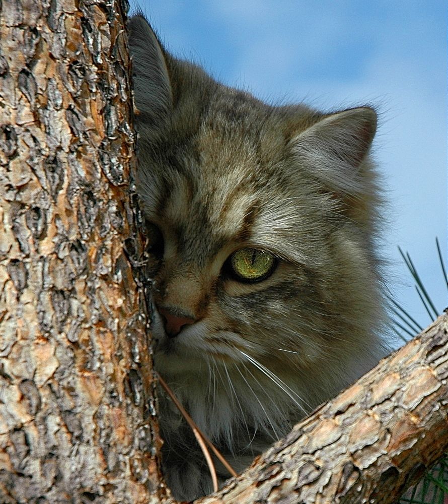 Photograph by Нелли Сидоренко