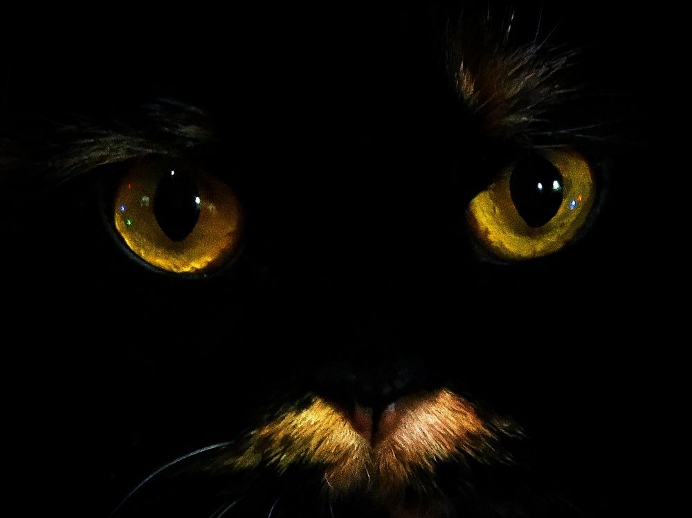 Photograph by Светлана Лехмус