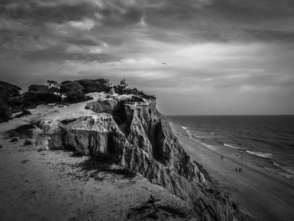 Photograph by Dmitry Skripachenko