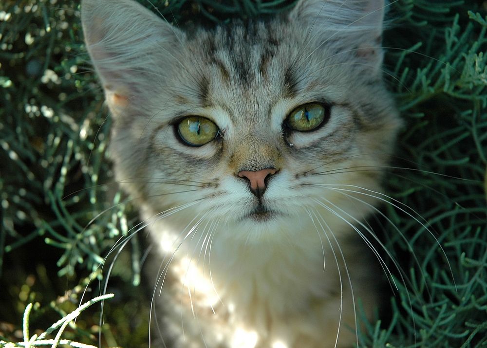 Photograph by Нелли Сидоренко