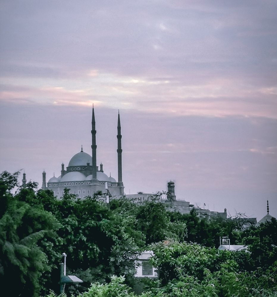 Photograph by Samar Gamal