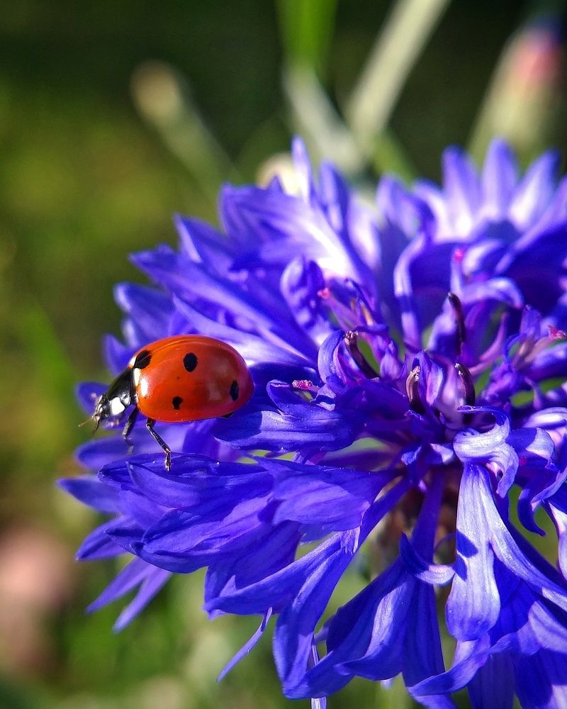 Photograph by Inna Kabanovich