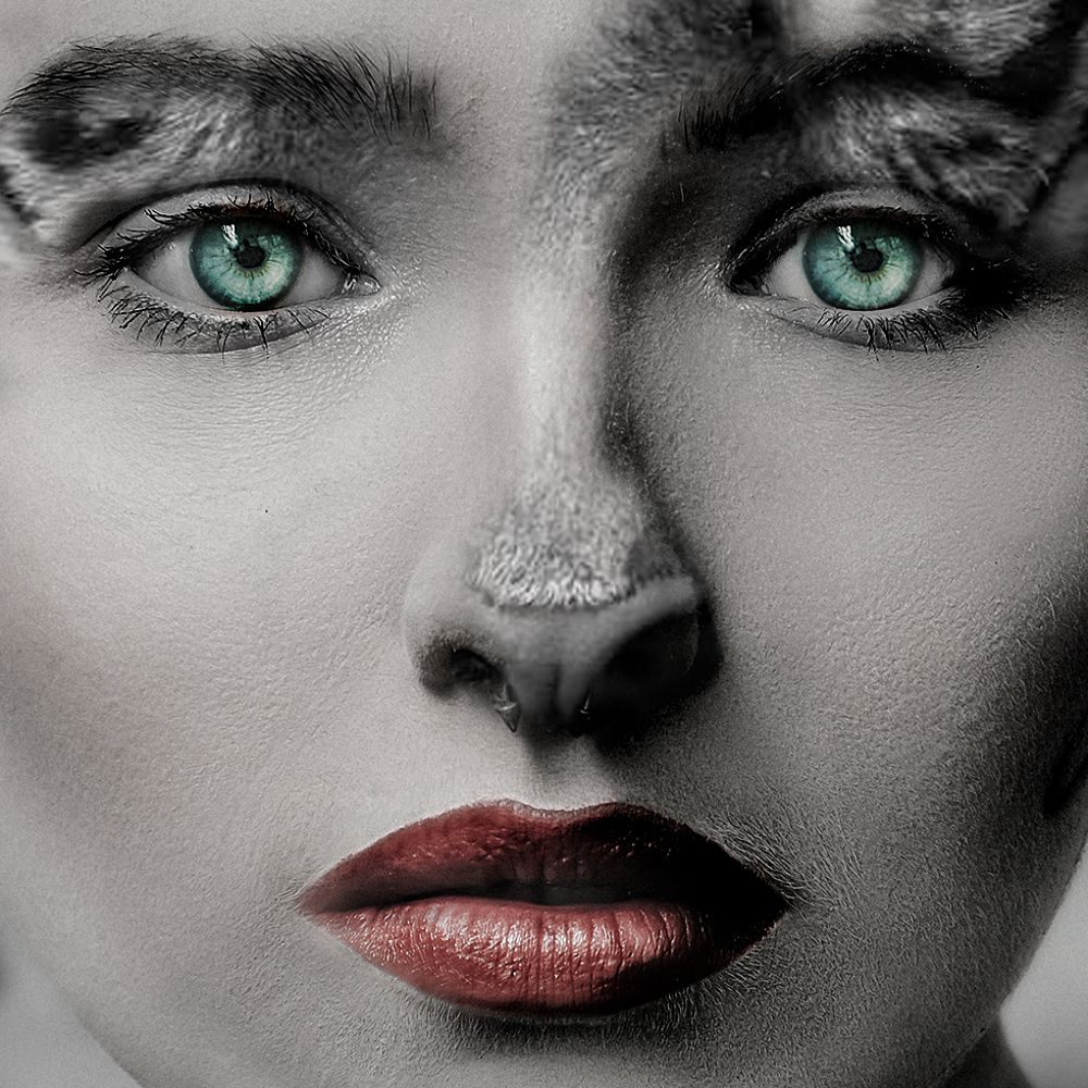 Photograph by Aleksandr Shvedov