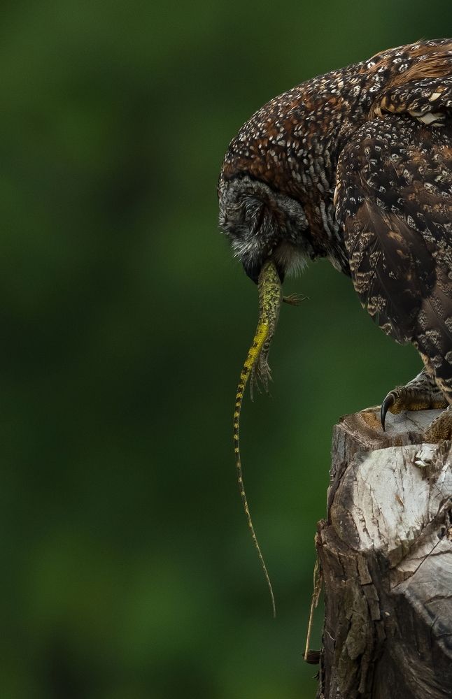 Photograph by Amit Jariwala