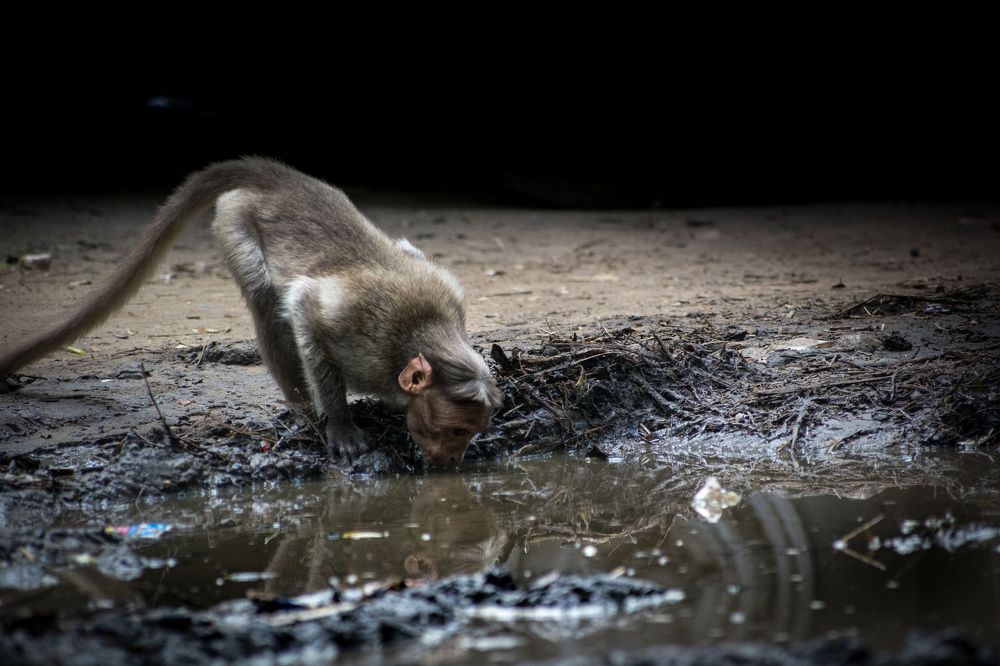 The Inevitable need.