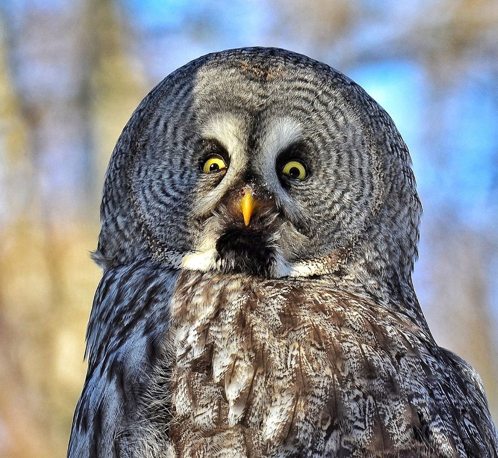 Photograph by Алексей Фомичев