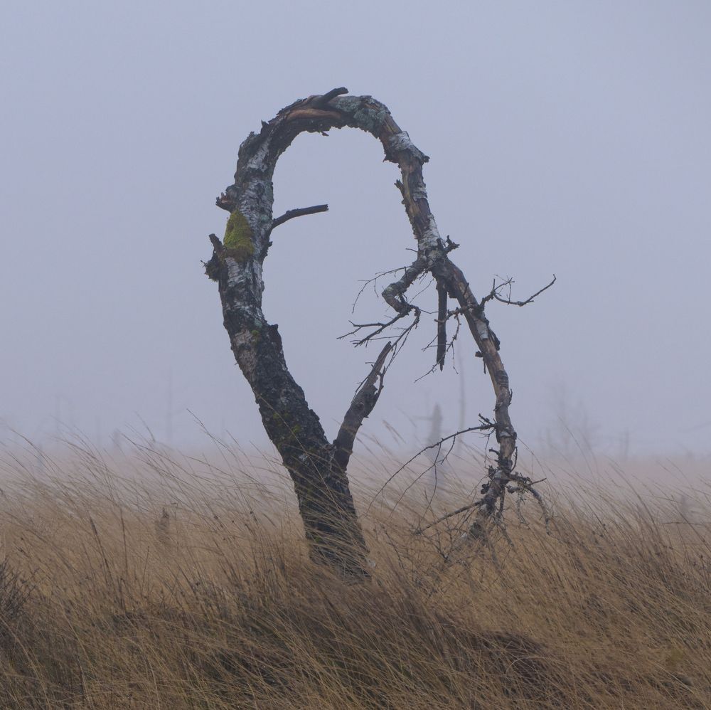 Photograph by Vasili Rohach
